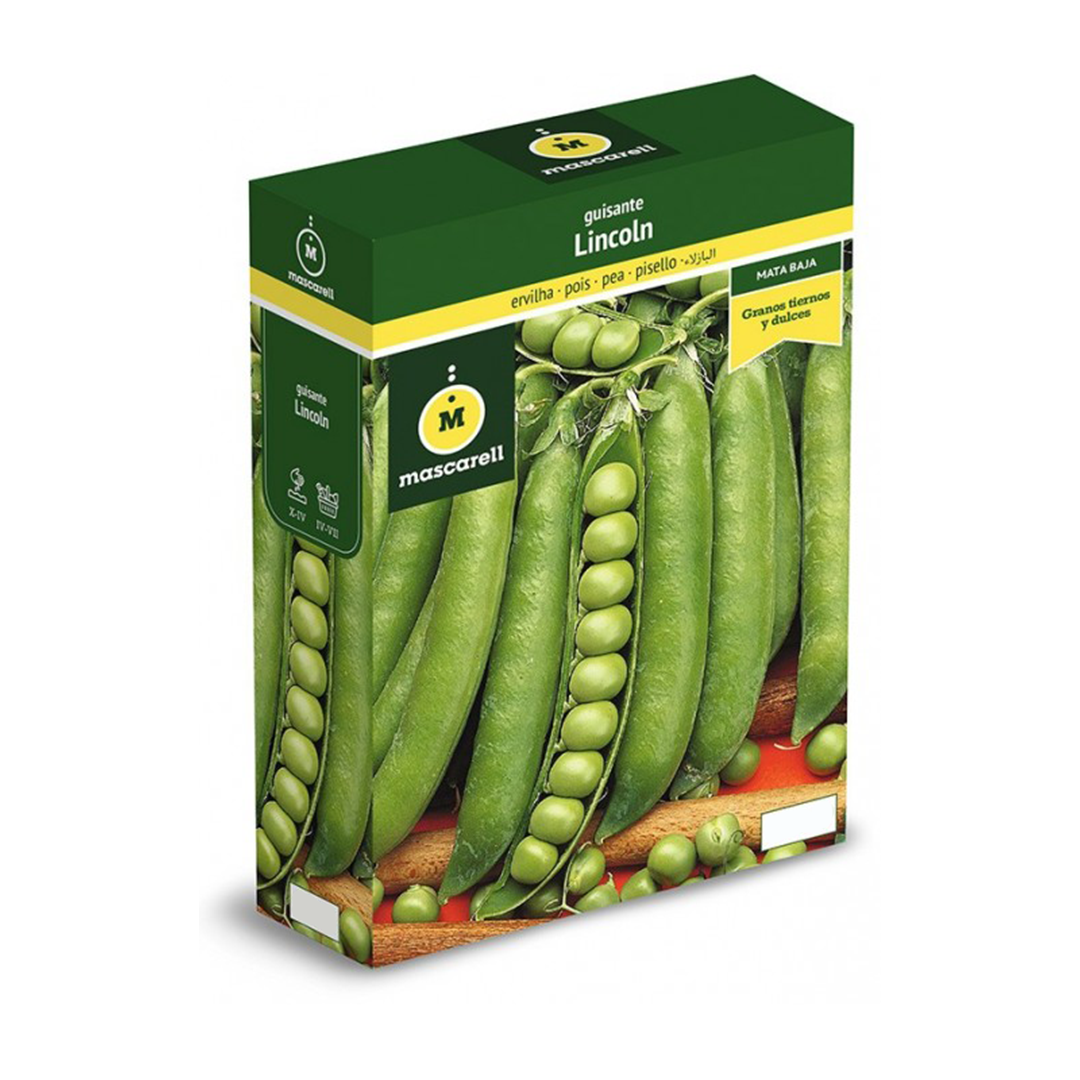 GUISANTE LINCOLN 100 GR