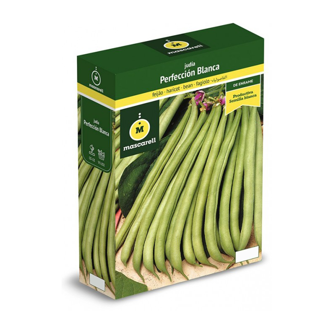 JUDIA PERFECCION 100 GR