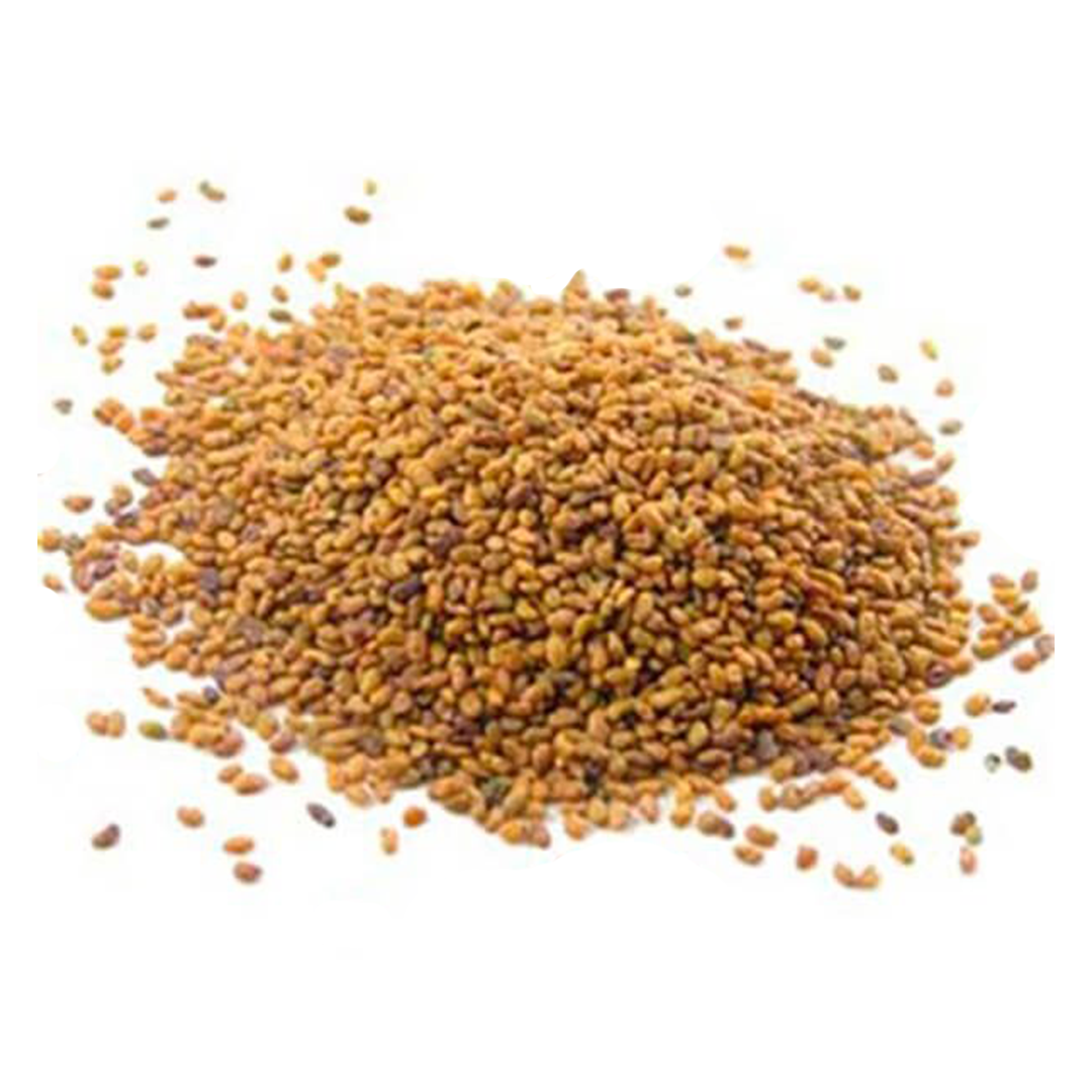 ALFALFA ARAGON 5KG