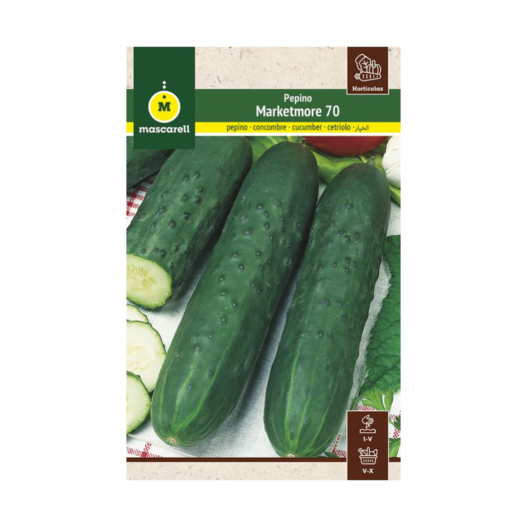 PEPINO MARKETER MEDIO LARGO "MAXI"