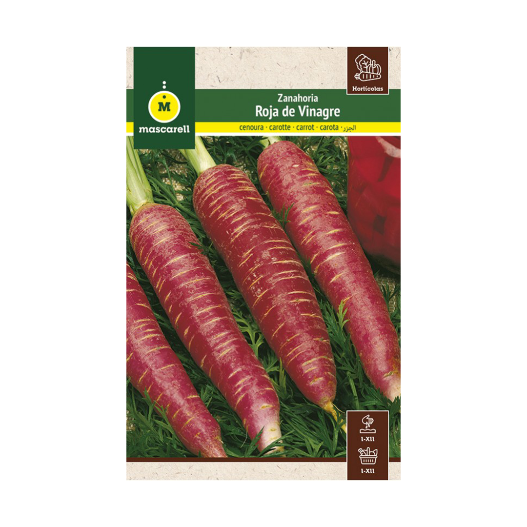 ZANAHORIA ROJA DE VINAGRE "MAXI"