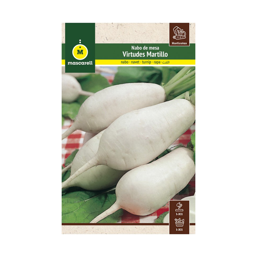 NABO VIRTUDES MARTILLO "MAXI"