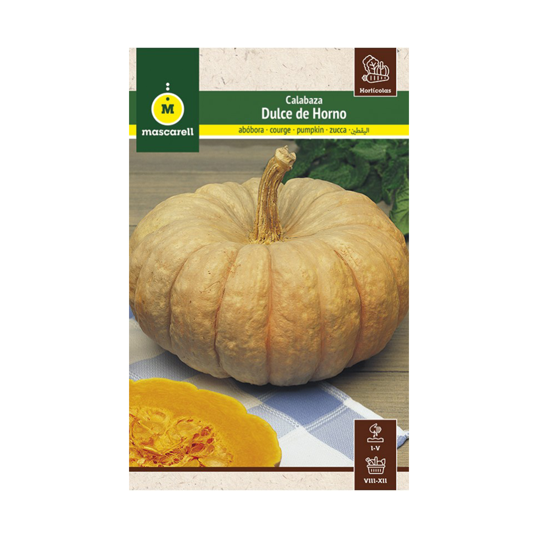 CALABAZA DULCE DE HORNO "MAXI"
