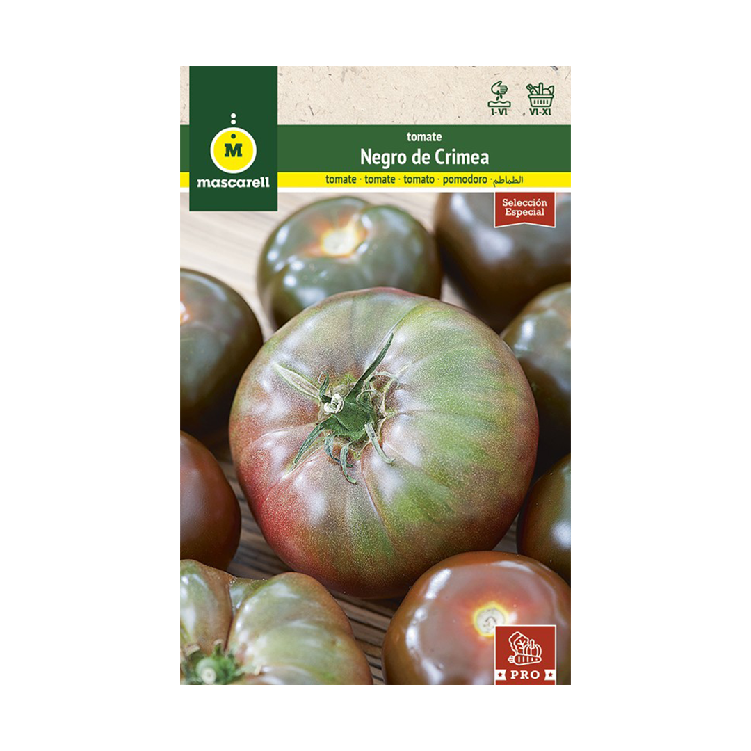 TOMATE NEGRO DE CRIMEA "RAIBOW SELECCION