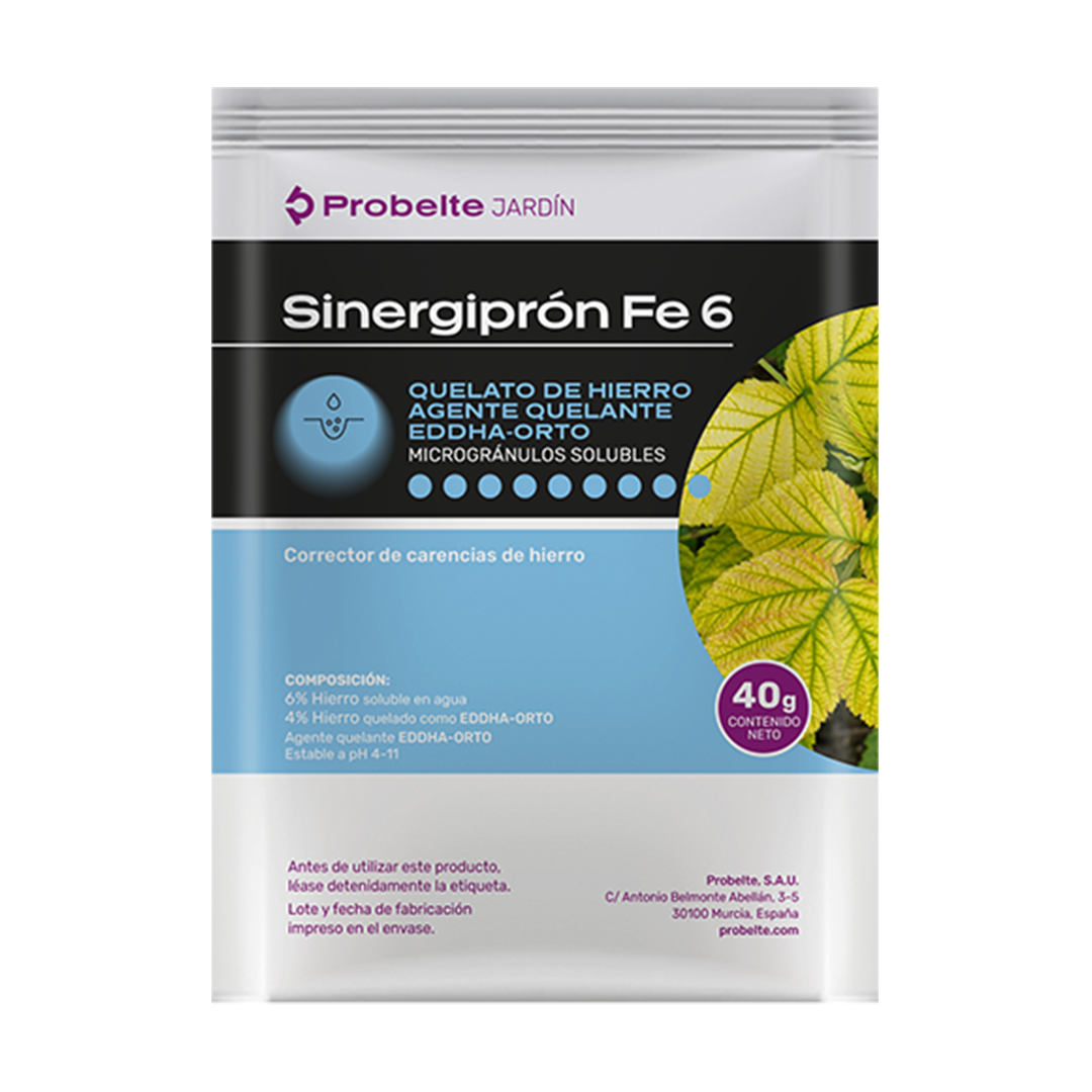 SINERGIPRON FE 6-MS 2*40GR (Q. HIERRO)